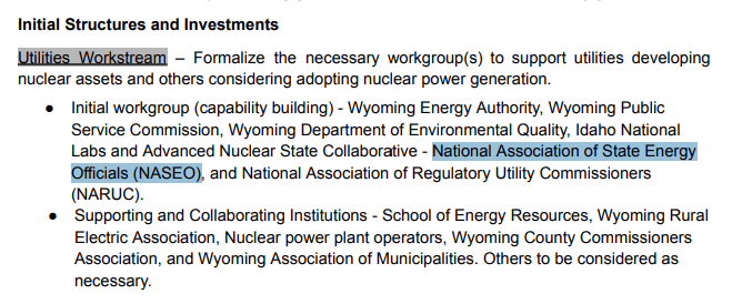 Document excerpt outlining initial structures and investments for utilities workstream in nuclear power development, mentioning various organizations involved.